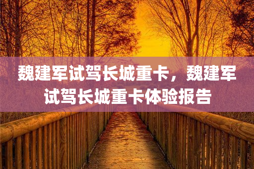 魏建军试驾长城重卡，魏建军试驾长城重卡体验报告，魏建军试驾长城重卡，深度体验报告