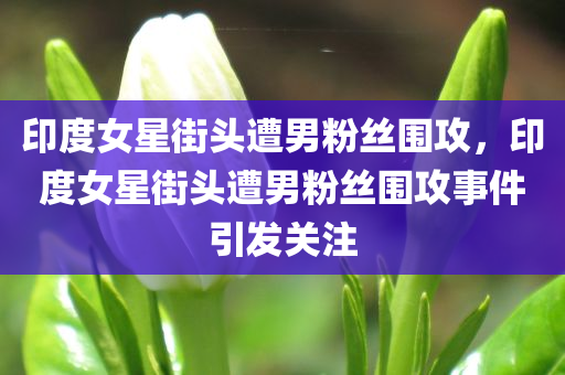 印度女星街头遭男粉丝围攻，印度女星街头遭男粉丝围攻事件引发关注，印度女星街头遭男粉丝围攻事件引发热议
