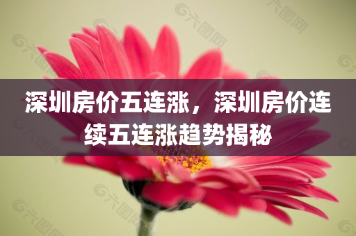 深圳房价五连涨，深圳房价连续五连涨趋势揭秘，深圳房价连续五连涨趋势揭秘，五连涨背后的原因与趋势分析