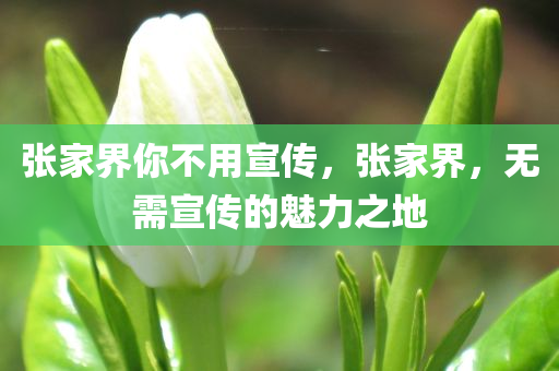 张家界你不用宣传，张家界，无需宣传的魅力之地，张家界，无需宣传的魅力旅游胜地