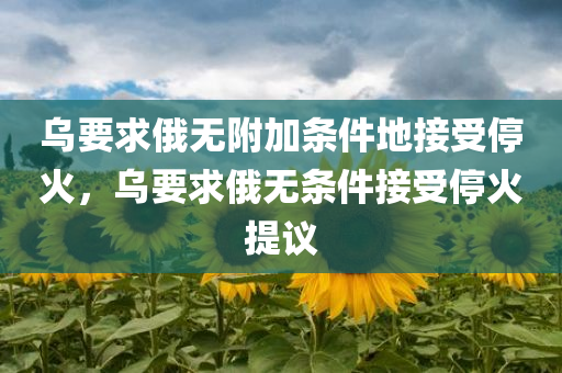 乌要求俄无附加条件地接受停火，乌要求俄无条件接受停火提议，乌克兰要求俄罗斯无条件接受停火提议