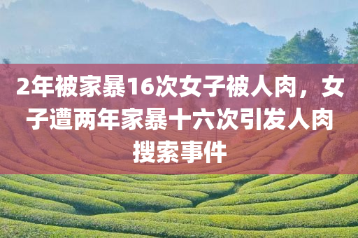 2年被家暴16次女子被人肉，女子遭两年家暴十六次引发人肉搜索事件，女子遭两年家暴十六次引发人肉搜索事件关注热议