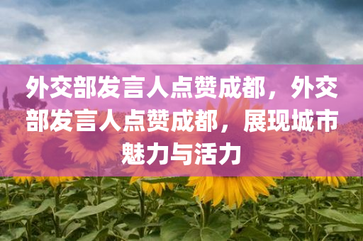 外交部发言人点赞成都，外交部发言人点赞成都，展现城市魅力与活力，外交部发言人点赞成都，展现城市魅力与活力的典范