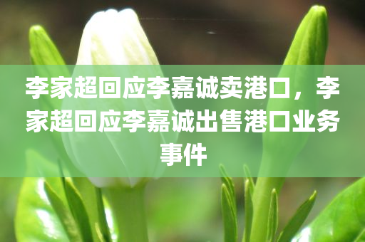 李家超回应李嘉诚卖港口，李家超回应李嘉诚出售港口业务事件，李家超回应李嘉诚出售港口业务事件进展及评论