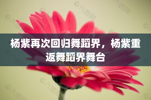 杨紫再次回归舞蹈界，杨紫重返舞蹈界舞台，杨紫重返舞蹈界舞台，再次展现舞姿魅力