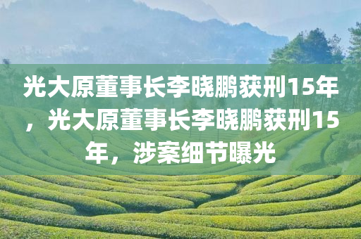 光大原董事长李晓鹏获刑15年，光大原董事长李晓鹏获刑15年，涉案细节曝光，光大原董事长李晓鹏获刑15年，涉案细节披露