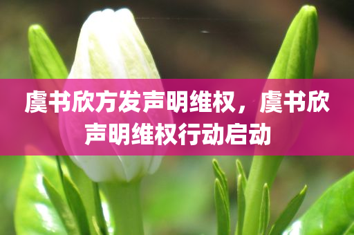 虞书欣方发声明维权，虞书欣声明维权行动启动