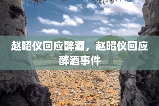 赵昭仪回应醉酒，赵昭仪回应醉酒事件，赵昭仪回应醉酒事件争议