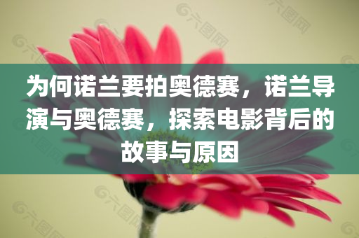 为何诺兰要拍奥德赛，诺兰导演与奥德赛，探索电影背后的故事与原因，诺兰导演与奥德赛，电影背后的故事与拍摄原因探索
