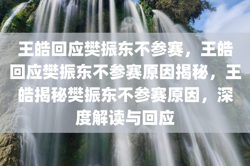 王皓回应樊振东不参赛，王皓回应樊振东不参赛原因揭秘，王皓揭秘樊振东不参赛原因，深度解读与回应