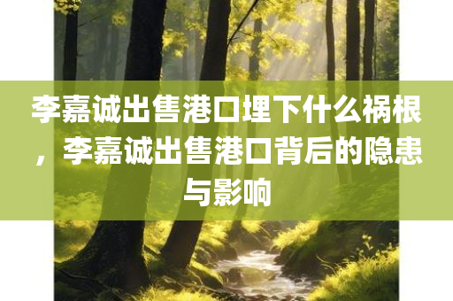 李嘉诚出售港口埋下什么祸根，李嘉诚出售港口背后的隐患与影响，李嘉诚出售港口背后的隐患与深远影响