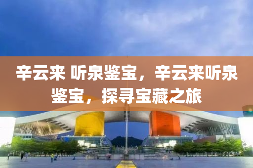 辛云来 听泉鉴宝，辛云来听泉鉴宝，探寻宝藏之旅
