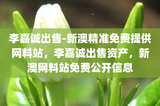 李嘉诚出售-新澳精准免费提供网料站，李嘉诚出售资产，新澳网料站免费公开信息，李嘉诚出售资产与新澳网料站免费公开信息揭秘