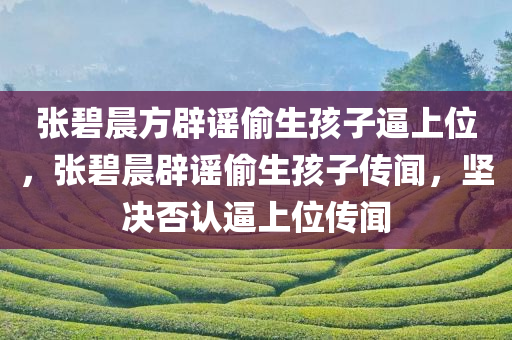 张碧晨方辟谣偷生孩子逼上位，张碧晨辟谣偷生孩子传闻，坚决否认逼上位传闻，张碧晨坚决辟谣，偷生孩子逼上位传闻纯属虚构
