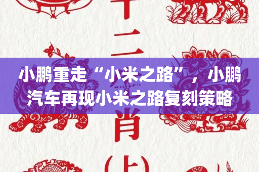 小鹏重走“小米之路”，小鹏汽车再现小米之路复刻策略，小鹏汽车再现复刻策略，重走小米之路