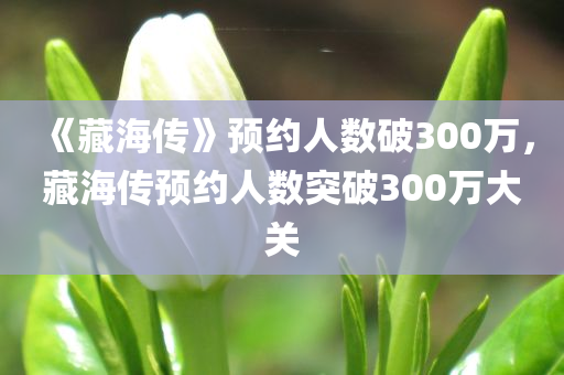 《藏海传》预约人数破300万，藏海传预约人数突破300万大关，藏海传预约人数突破300万大关里程碑纪念