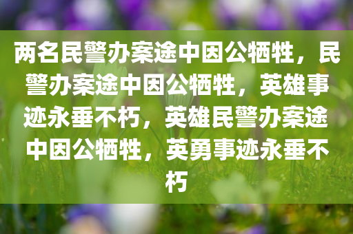 两名民警办案途中因公牺牲，民警办案途中因公牺牲，英雄事迹永垂不朽，英雄民警办案途中因公牺牲，英勇事迹永垂不朽