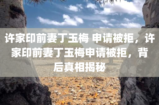 许家印前妻丁玉梅 申请被拒，许家印前妻丁玉梅申请被拒，背后真相揭秘，许家印前妻丁玉梅申请被拒背后的真相揭秘