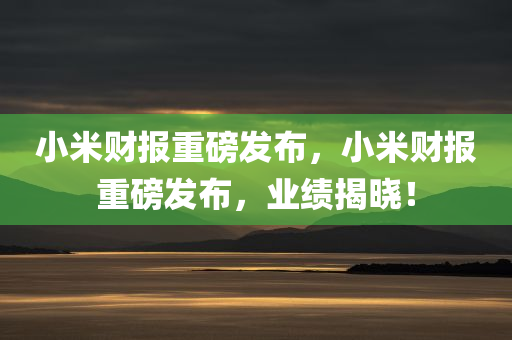 小米财报重磅发布，小米财报重磅发布，业绩揭晓！，小米财报重磅发布，业绩揭晓，引发行业关注！