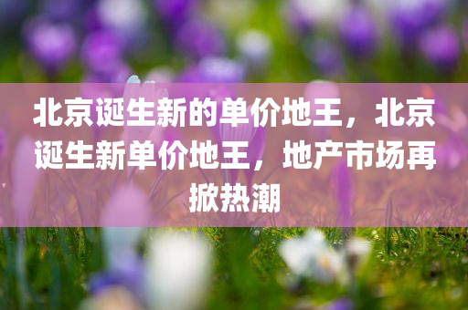北京诞生新的单价地王，北京诞生新单价地王，地产市场再掀热潮，北京新单价地王诞生，地产市场掀起新一轮热潮