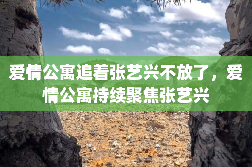 爱情公寓追着张艺兴不放了，爱情公寓持续聚焦张艺兴，爱情公寓持续聚焦张艺兴