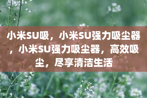 小米SU吸，小米SU强力吸尘器，小米SU强力吸尘器，高效吸尘，尽享清洁生活