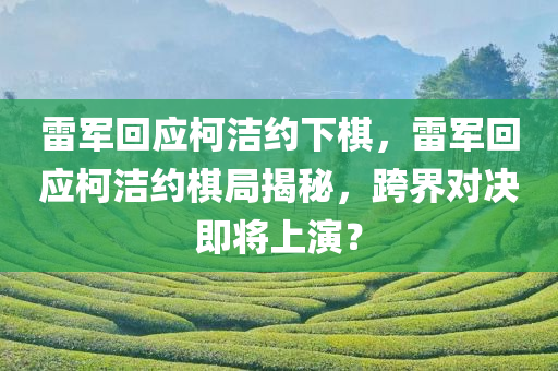 雷军回应柯洁约下棋，雷军回应柯洁约棋局揭秘，跨界对决即将上演？