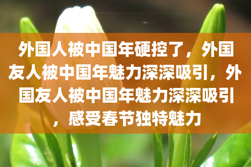 外国人被中国年硬控了，外国友人被中国年魅力深深吸引，外国友人被中国年魅力深深吸引，感受春节独特魅力