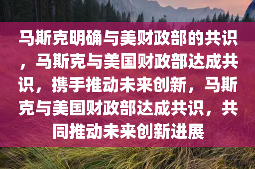 马斯克明确与美财政部的共识，马斯克与美国财政部达成共识，携手推动未来创新，马斯克与美国财政部达成共识，共同推动未来创新进展