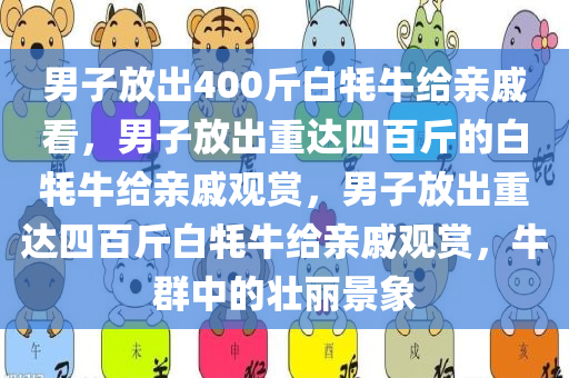 男子放出400斤白牦牛给亲戚看，男子放出重达四百斤的白牦牛给亲戚观赏，男子放出重达四百斤白牦牛给亲戚观赏，牛群中的壮丽景象