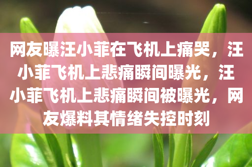 网友曝汪小菲在飞机上痛哭，汪小菲飞机上悲痛瞬间曝光