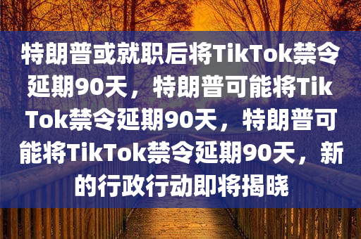 特朗普或就职后将TikTok禁令延期90天，特朗普可能将TikTok禁令延期90天，特朗普可能将TikTok禁令延期90天，新的行政行动即将揭晓