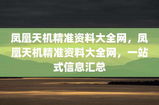 凤凰天机精准资料大全网，凤凰天机精准资料大全网，一站式信息汇总，凤凰天机精准资料大全网，一站式信息汇总平台