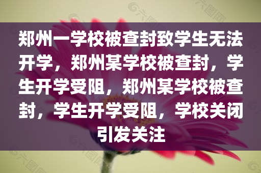 郑州一学校被查封致学生无法开学，郑州某学校被查封，学生开学受阻，郑州某学校被查封，学生开学受阻，学校关闭引发关注