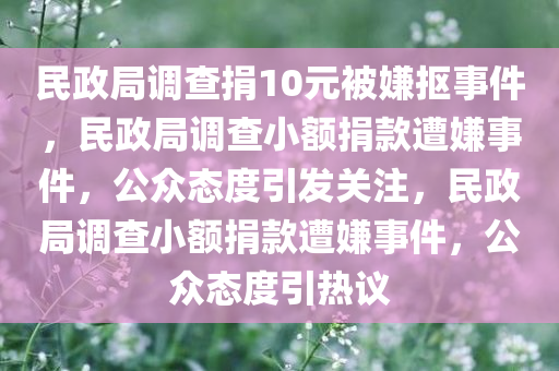 民政局调查捐10元被嫌抠事件，民政局调查小额捐款遭嫌事件，公众态度引发关注，民政局调查小额捐款遭嫌事件，公众态度引热议