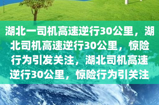 湖北一司机高速逆行30公里，湖北司机高速逆行30公里，惊险行为引发关注，湖北司机高速逆行30公里，惊险行为引关注