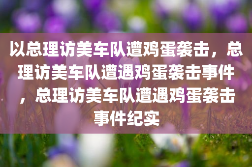 以总理访美车队遭鸡蛋袭击，总理访美车队遭遇鸡蛋袭击事件，总理访美车队遭遇鸡蛋袭击事件纪实