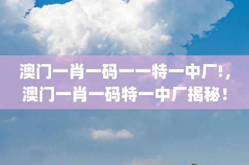 澳门一肖一码一一特一中厂!，澳门一肖一码特一中厂揭秘！