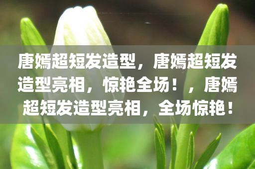 唐嫣超短发造型，唐嫣超短发造型亮相，惊艳全场！，唐嫣超短发造型亮相，全场惊艳！