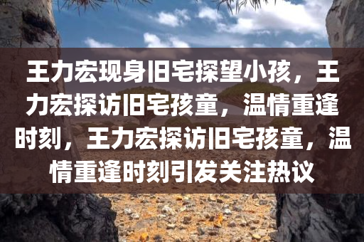 王力宏现身旧宅探望小孩，王力宏探访旧宅孩童，温情重逢时刻，王力宏探访旧宅孩童，温情重逢时刻引发关注热议