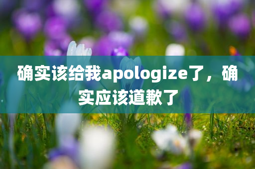 确实该给我apologize了，确实应该道歉了，确实应该道歉了，真诚悔过的时刻