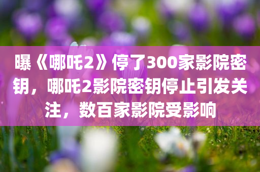 曝《哪吒2》停了300家影院密钥，哪吒2影院密钥停止引发关注，数百家影院受影响，哪吒2影院密钥停止引发关注，数百家影院受影响导致观影计划受阻
