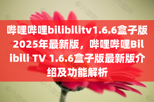 哔哩哔哩bilibilitv1.6.6盒子版 2025年最新版，哔哩哔哩Bilibili TV 1.6.6盒子版最新版介绍及功能解析，哔哩哔哩Bilibili TV 1.6.6盒子版最新版详解与功能解析