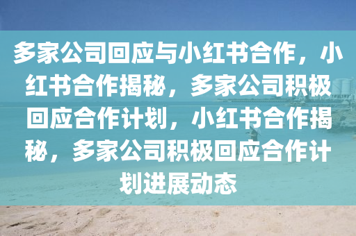 多家公司回应与小红书合作，小红书合作揭秘，多家公司积极回应合作计划，小红书合作揭秘，多家公司积极回应合作计划进展动态