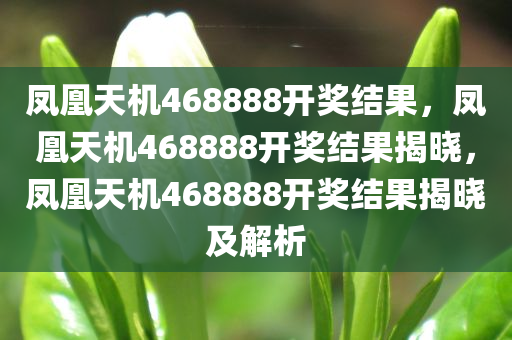 凤凰天机468888开奖结果,凤凰天机468888开奖结果揭晓,凤凰天机468888开奖结果揭晓及解析