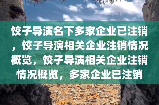饺子导演名下多家企业已注销，饺子导演相关企业注销情况概览，饺子导演相关企业注销情况概览，多家企业已注销