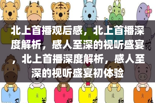 北上首播观后感，北上首播深度解析，感人至深的视听盛宴，北上首播深度解析，感人至深的视听盛宴初体验