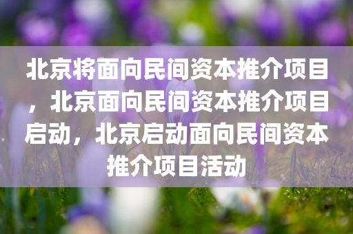 北京将面向民间资本推介项目，北京面向民间资本推介项目启动，北京启动面向民间资本推介项目活动
