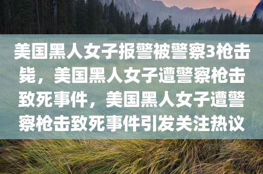 美国黑人女子报警被警察3枪击毙，美国黑人女子遭警察枪击致死事件，美国黑人女子遭警察枪击致死事件引发关注热议