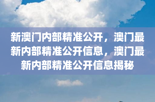 新澳门内部精准公开，澳门最新内部精准公开信息，澳门最新内部精准公开信息揭秘